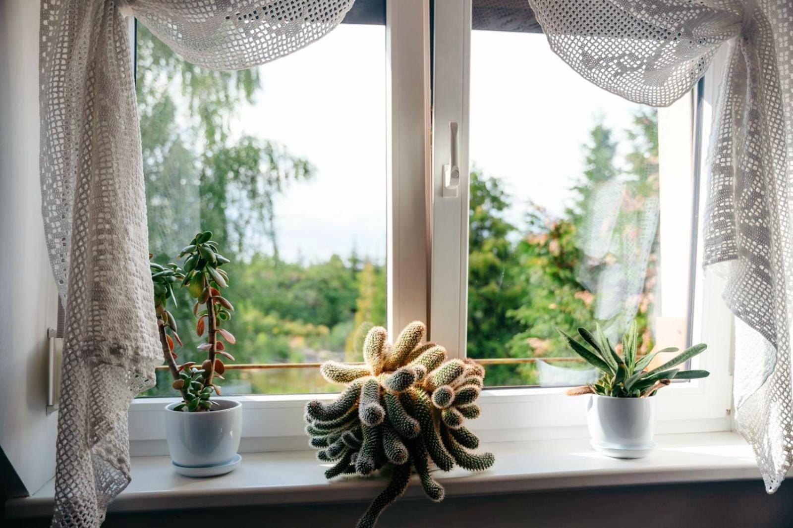 Zielona Parcela Pisz Esterno foto